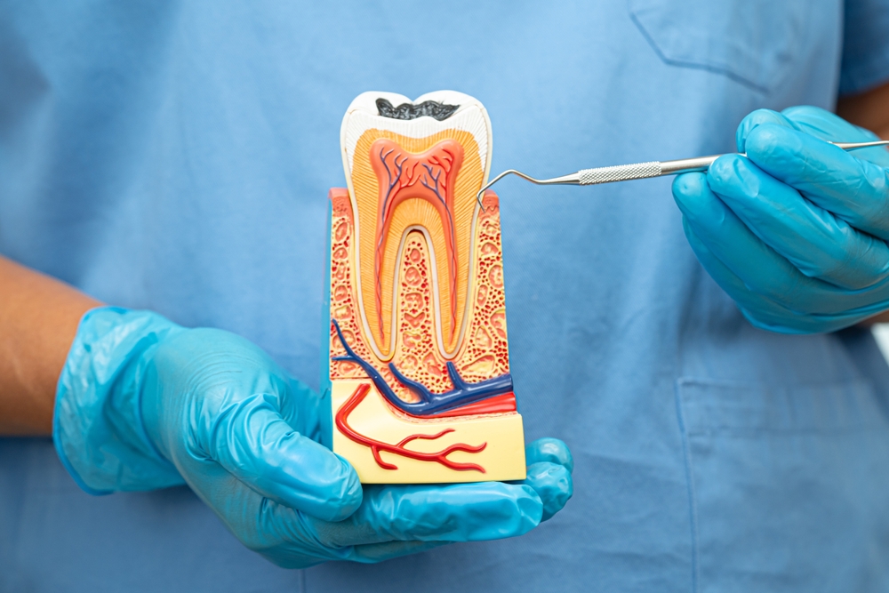 signs you might need a root canal don’t ignore these symptoms